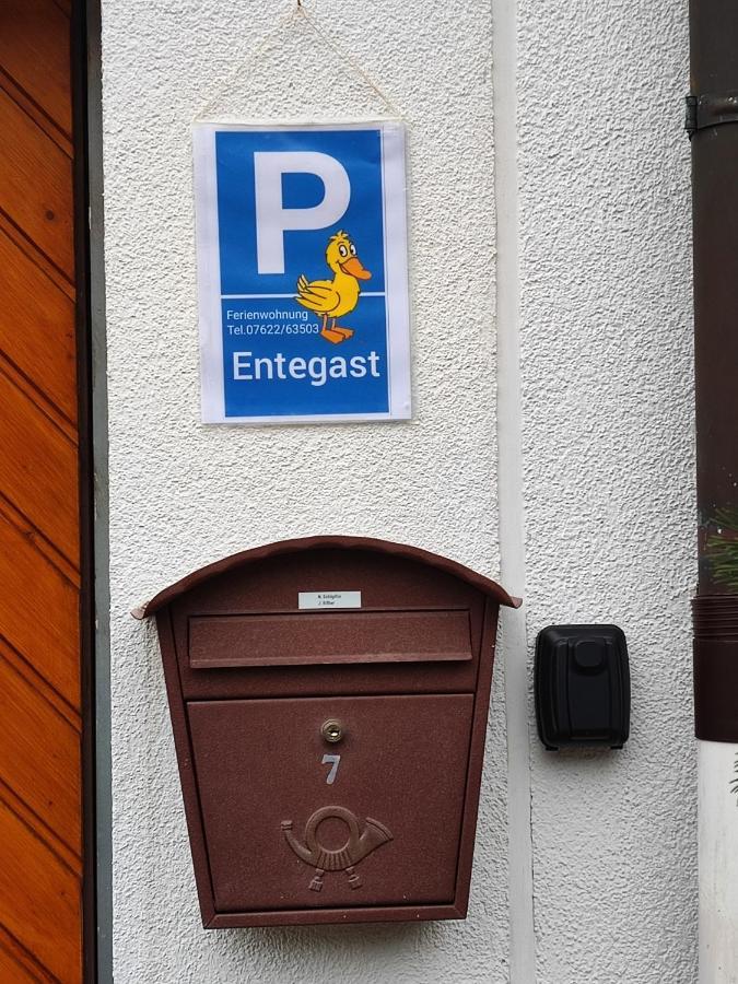 Apartment Entegast Schopfheim Extérieur photo